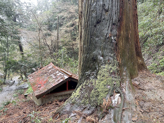 「大平山神社」鰻小屋