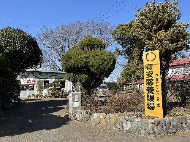 神奈川県藤沢市うなぎ「安藤養鰻場」さん