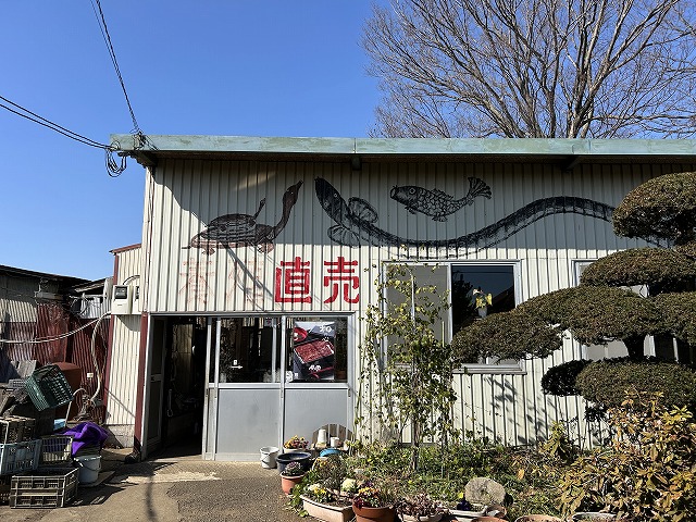 神奈川県藤沢市うなぎ「安藤養鰻場」さん