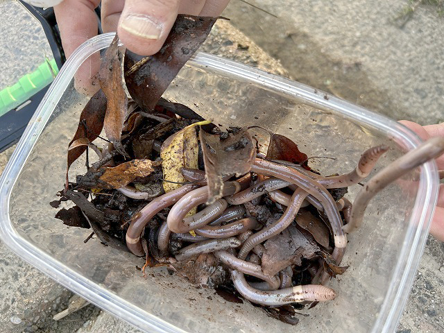 「浜松うなぎ隊長とうなぎ釣り」