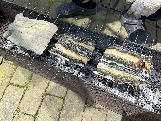 「浜松うなぎ隊長とうなぎ釣り」