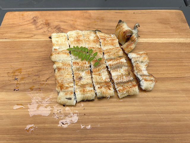「浜松うなぎ隊長とうなぎ釣り」