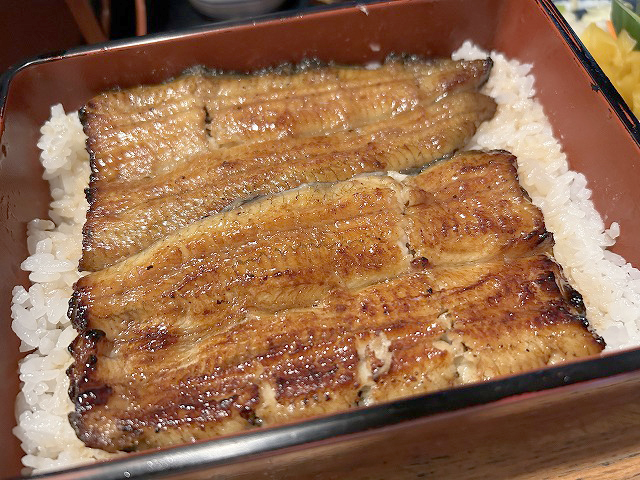 東京都江東区うなぎ「深川大和田」さん