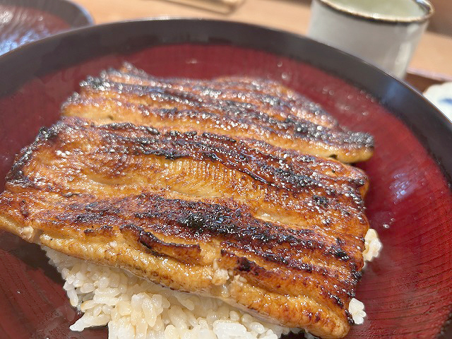 千葉県我孫子市うなぎ「うな志ん」さん