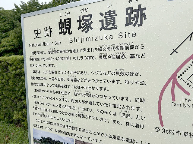 鰻食文化の新しい発見「蜆塚遺跡」さん