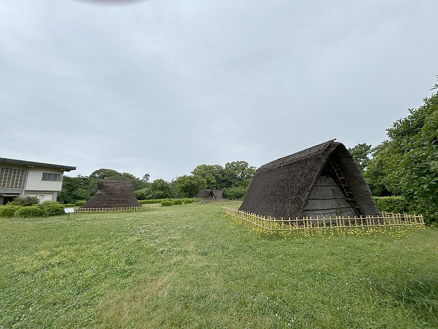 鰻食文化の新しい発見「蜆塚遺跡」さん