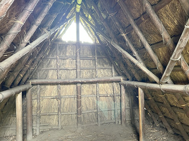 鰻食文化の新しい発見「蜆塚遺跡」さん