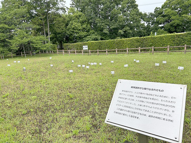 鰻食文化の新しい発見「蜆塚遺跡」さん