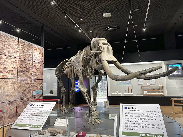 鰻食文化の新しい発見「蜆塚遺跡」さん