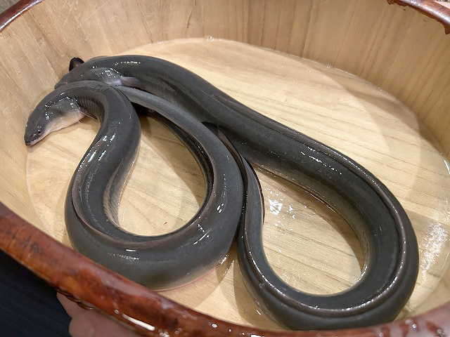 東京都中央区銀座うなぎ「銀座四代目高橋屋銀座店」さん