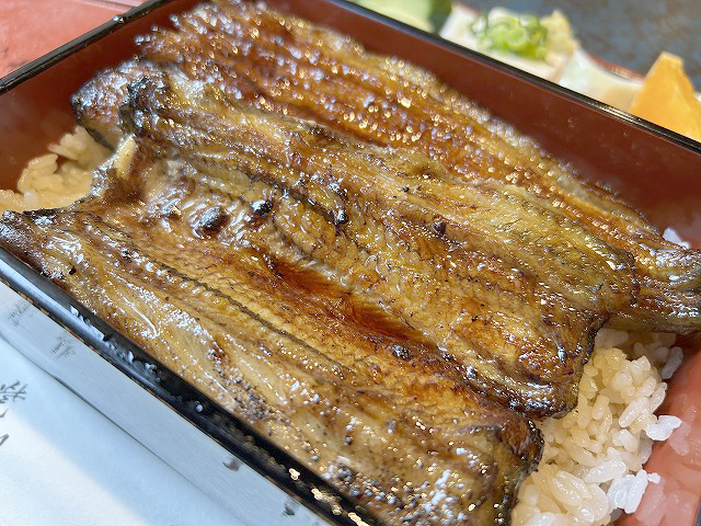 埼玉県本庄市の老舗鰻割烹「割烹ふじ井」さん