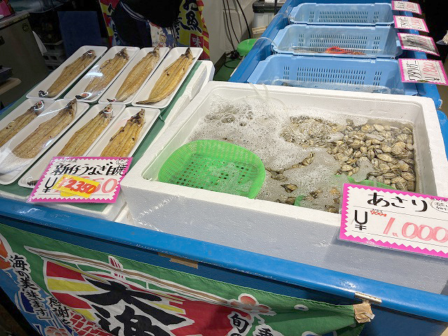 愛知県西尾市うなぎ「一色さかな広場」さん