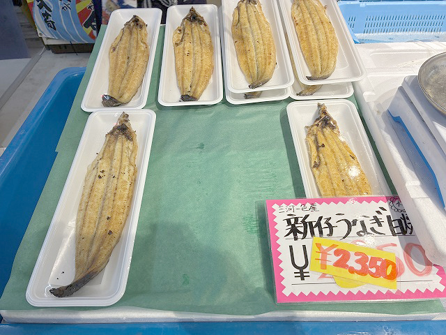 愛知県西尾市うなぎ「一色さかな広場」さん